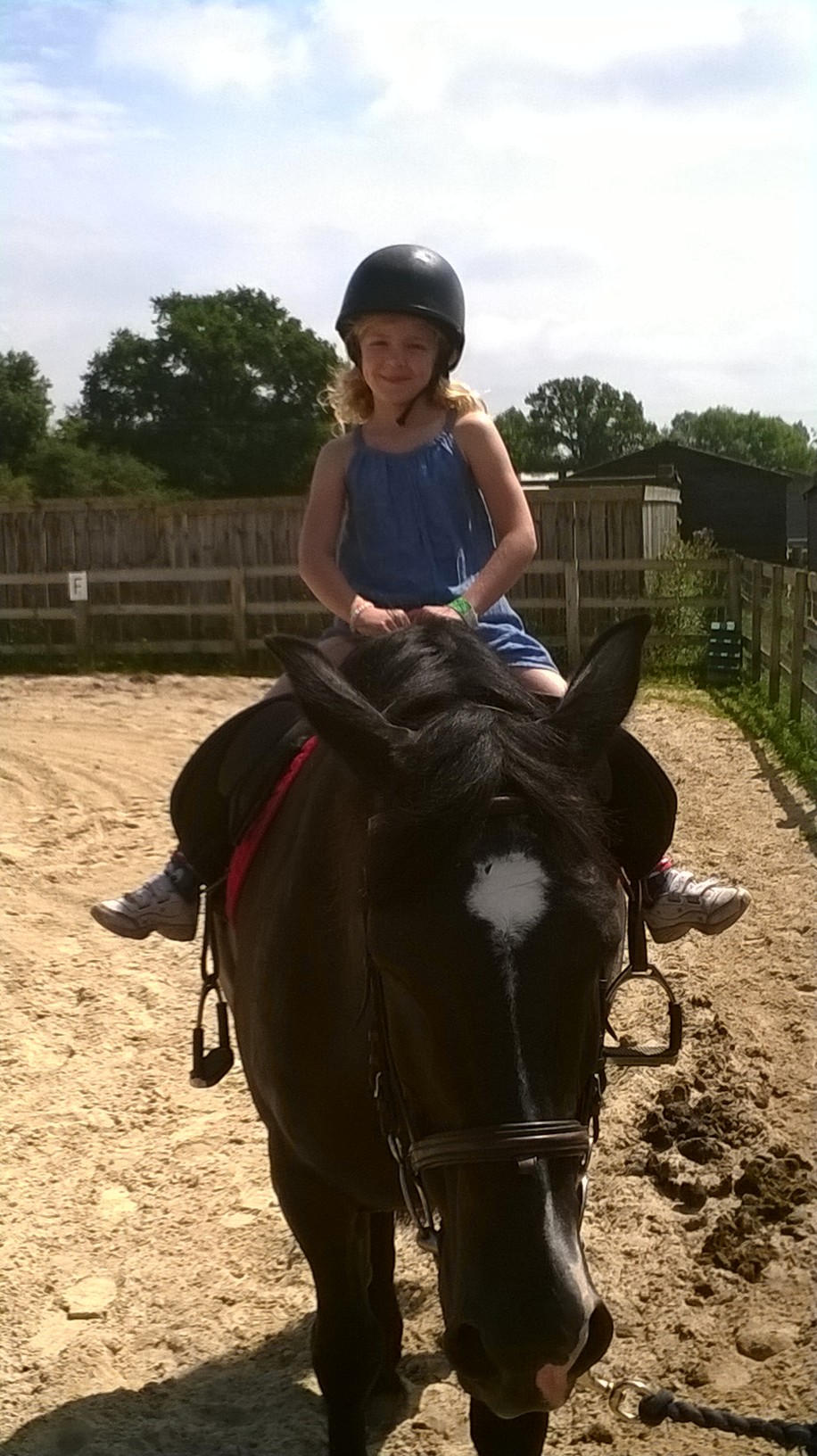 At Fishers Farm 2014