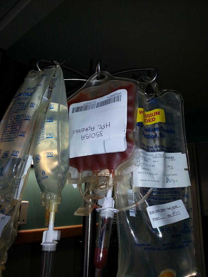 blood32359_501442249887643_1382391535_n